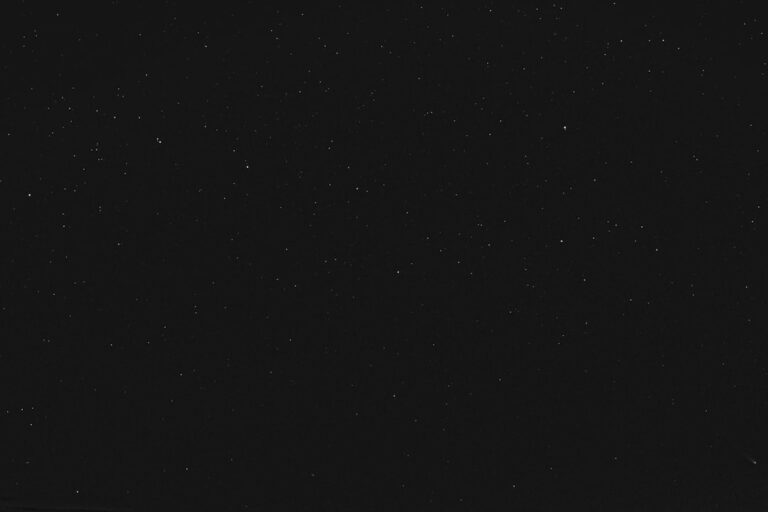 Photo Black cat: Cat R34: Car